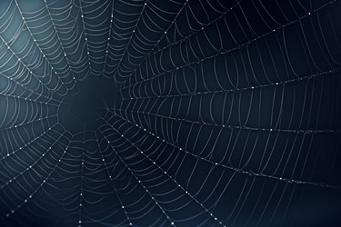 Фон макета паутины. Ужасный страх. Генерировать искусственный интеллект - yliv