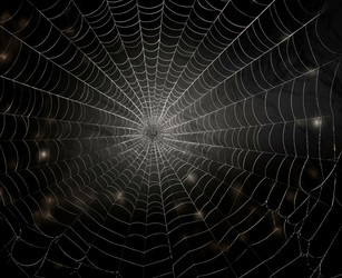 Баннер с паутинным пауком. Генерировать искусственный интеллект - yliv