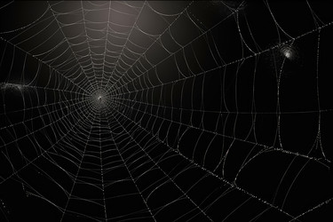 Фон с паутинным пауком. Генерировать искусственный интеллект - yliv