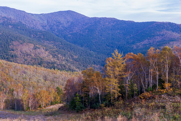 Вид с горнолыжного комплекса «Горный воздух». Сахалин. View of the ski complex "Gorny Vozduh". Sakhalin. (marka) - marka