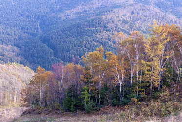 Вид с горнолыжного комплекса «Горный воздух». Сахалин. View of the ski complex "Gorny Vozduh". Sakhalin. (marka) - marka