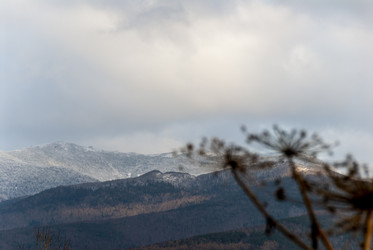 Вид на заснеженные сопки. Пик Чехова. Сахалин. View of the snow-covered hills. Chekhov Peak. Sakhalin. (marka) - marka