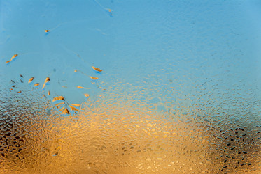Морозные узоры на окне. Frosty patterns on the window. (Сахалин. Sakhalin. (marka) - marka