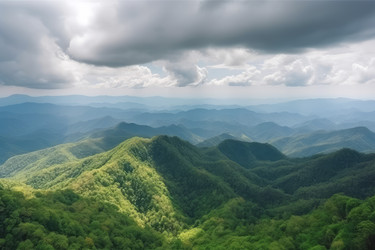 Вид на дикую природу, горы. Листья растения. Генерировать искусственный интеллект - yliv