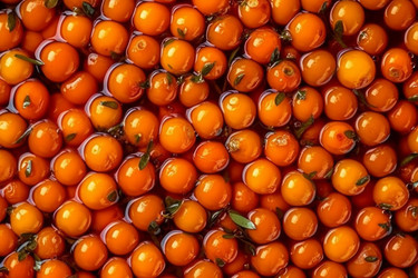 Блестящая крушина. Генерировать искусственный интеллект - yliv