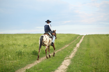 Man in a cowboy hat riding a horse on the meadow road - paha_l