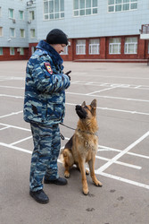 РОССИЯ, МОСКВА - 14 ноября 2014 года: Полицейский с овчаркой стоят в Северо-Восточном округе Москвы - paha_l
