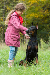 Profile view of the little curly girl and dobermann in park - paha_l