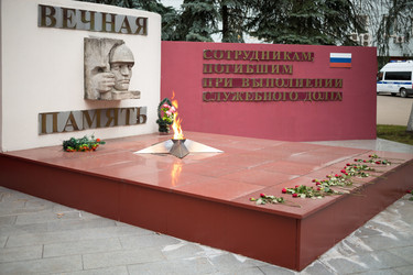 россия, москва - 14 ноября 2014: крупный план вечного - paha_l
