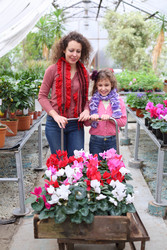 Mother and daughter driven cart with beauty flower in the greenhouse - paha_l