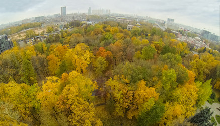 красивый осенний парк с видом на небоскребы в - paha_l