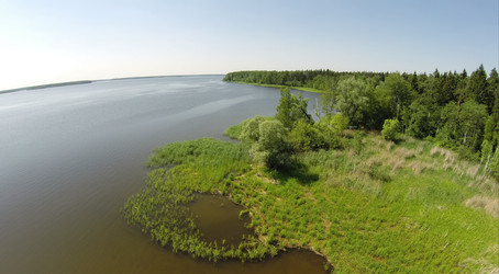 берег водохранилища с лесом под голубым небом в солнечную погоду - paha_l