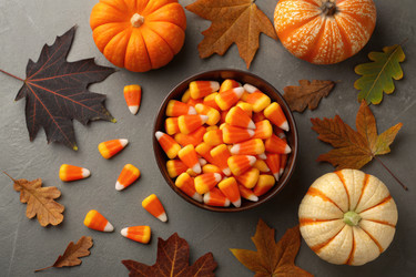 Праздничная осенняя экспозиция со сладкой кукурузой, тыквами и разноцветными листьями - RomanZ
