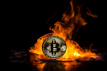 Пылающий биткойн-огонь. Генерировать искусственный интеллект - yliv