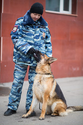 россия, москва - 14 ноября 2014 года: полицейский в камуфляже с - paha_l