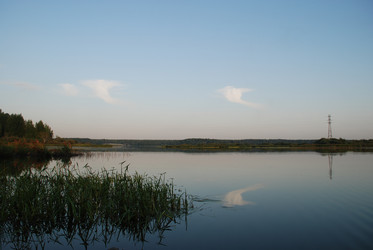 Тростник растет в воде - Andrew_Swarga