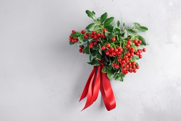 ягода из грозди омелы. генеративный контент - yliv