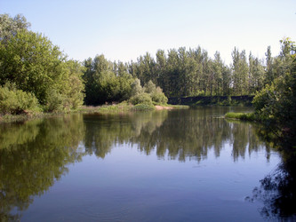 Живописный речной пейзаж с зеркальной гладью воды и густыми зелеными деревьями по берегам - bykgeniy