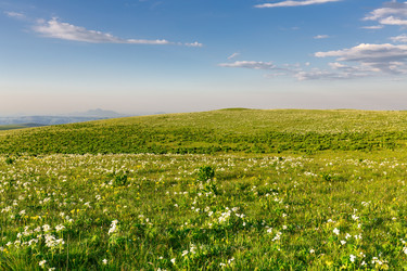панорамный вид на плоское горное плато, покрытое альпийскими лугами, ясным летним вечером. естественный горный ландшафт, путешествия и открытие дикой природы северного кавказа. плато шаджатмаз в карачаево-черкесии, россия - gumbao