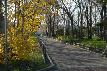 Осенняя аллея. Пл. Ленина. Южно-Сахалинск. Сахалин. Autumn alley. Lenin Square. Yuzhno-Sakhalinsk. Sakhalin. (Marka) - marka