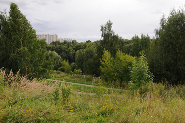 Ландшафтный парк "Митино" в Москве - Anastasia_y