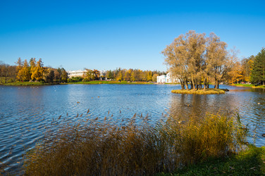 вид на городской парк - gumbao