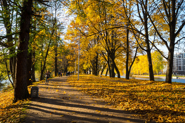 вид на городской парк осенью - gumbao
