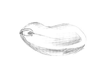Нарисованный от руки графитовым карандашом набросок одного очищенного арахисового семечка, разделенного пополам. Монохромная ботаническая иллюстрация на изолированном фоне для упаковки пищевых продуктов, этикеток органических продуктов, меню и сельскохозя - mev