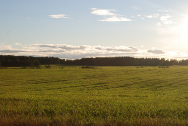 широкое зеленое поле - Andrew_Swarga