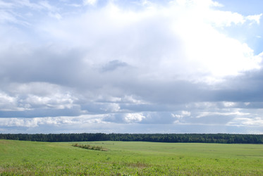 широкое зеленое поле - Andrew_Swarga