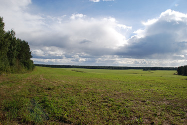 широкое зеленое поле - Andrew_Swarga