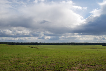 широкое зеленое поле - Andrew_Swarga