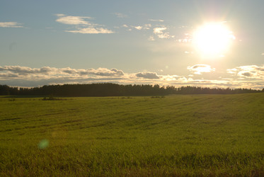 широкое зеленое поле - Andrew_Swarga