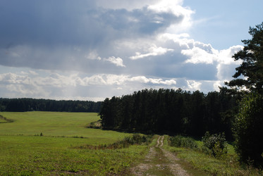 широкое зеленое поле - Andrew_Swarga