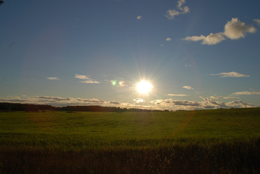 широкое зеленое поле - Andrew_Swarga