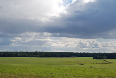 широкое зеленое поле - Andrew_Swarga