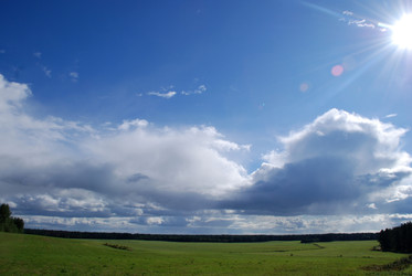 широкое зеленое поле - Andrew_Swarga