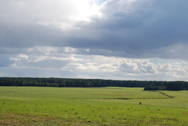 широкое зеленое поле - Andrew_Swarga