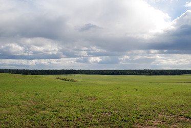 широкое зеленое поле - Andrew_Swarga