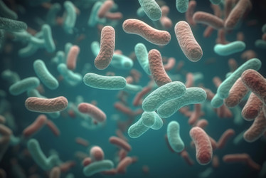 Исследование колоний бактерий Escherichia coli. Генерировать искусственный интеллект - yliv