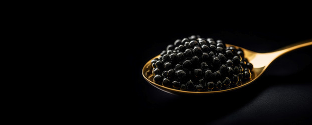 Black caviar spoon banner. Fish fresh macro nutrition meal. Generate Ai - yliv