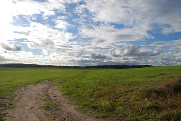 широкое зеленое поле - Andrew_Swarga
