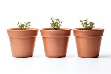 Empty clay flower pots isolated on white. Flower leaf nature plant indoor. Generate Ai - yliv