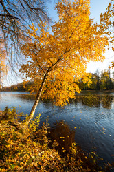 вид на городской парк осенью - gumbao
