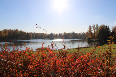 Осень в Екатериненском парке - Katiko P