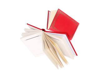 Две летающие книги, изолированные на белом фоне - Prokrida