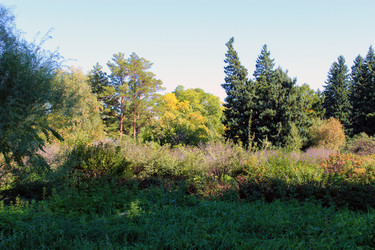 Лесной ландшафт - bykgeniy