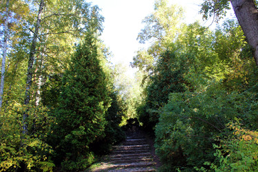 Каменная лестница, уходящая вверх среди зеленых деревьев и кустарников - bykgeniy