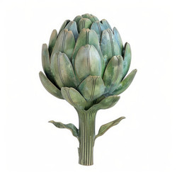 Ripe artichoke vegetable growing on white background, healthy eating and vegan food concept - yliv