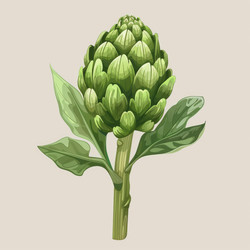 Fresh artichoke plant growing on a beige background - yliv